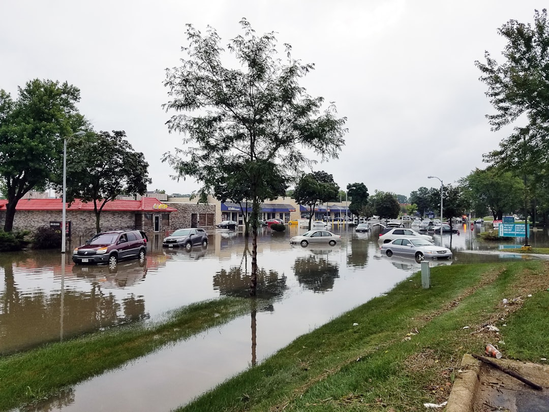 Cars submerged in flood water on a city street